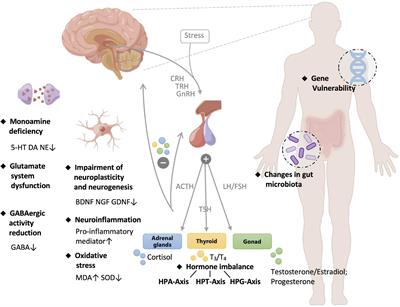 Dissecting the molecular mechanisms underlying the antidepressant activities of herbal medicines through the comprehensive review of the recent literatures